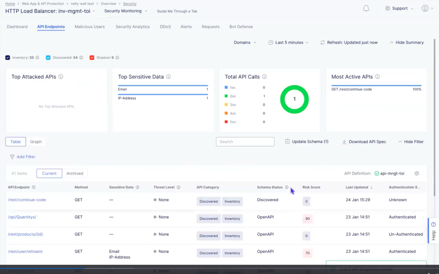 Figure: API Endpoints Table View