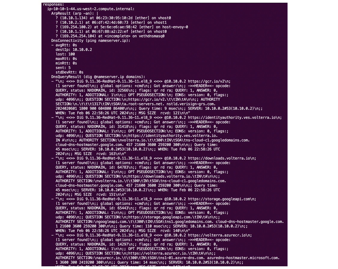 Figure: Diagnosis tool output